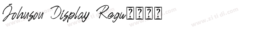 Johnson Display Regu字体转换